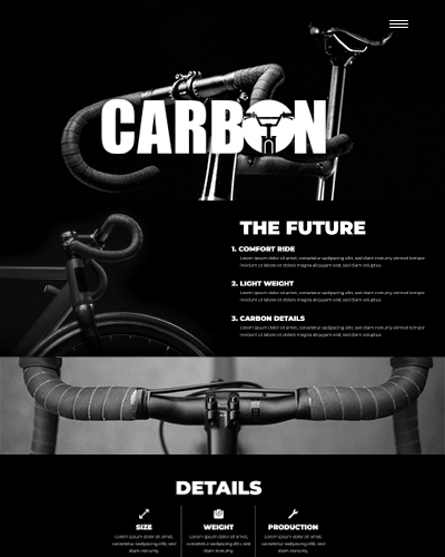 Carbon Bikes